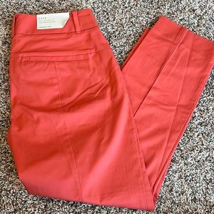 Ann Taylor Dress Pants